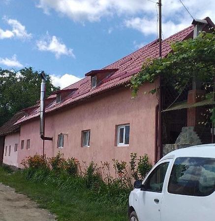 Casa Boierului Imbri Villa Cîrţişoara Eksteriør billede