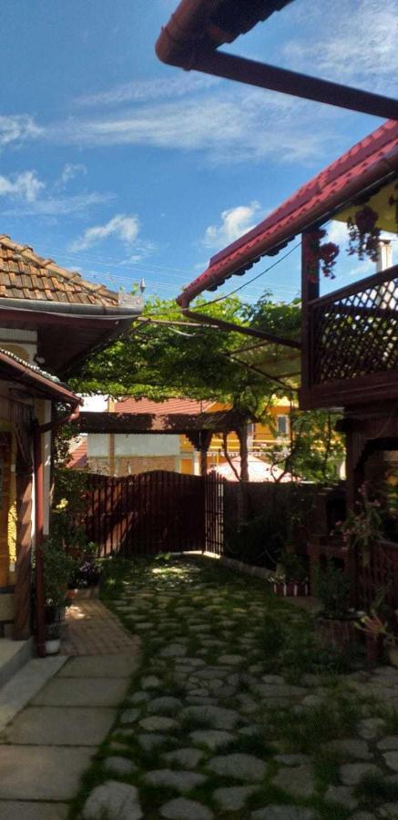 Casa Boierului Imbri Villa Cîrţişoara Eksteriør billede