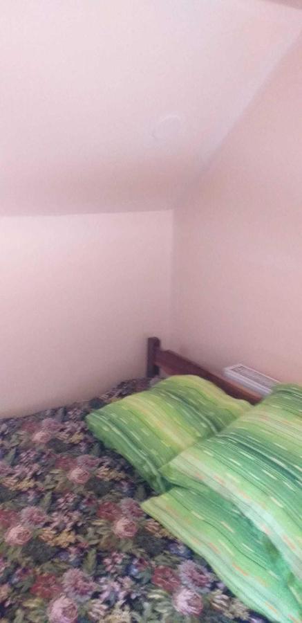 Casa Boierului Imbri Villa Cîrţişoara Eksteriør billede