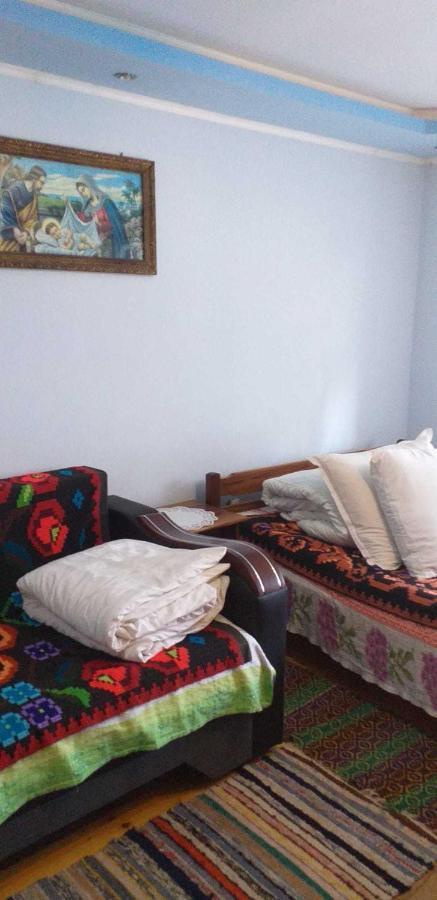 Casa Boierului Imbri Villa Cîrţişoara Eksteriør billede