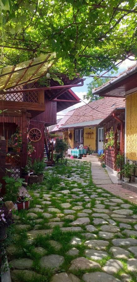 Casa Boierului Imbri Villa Cîrţişoara Eksteriør billede