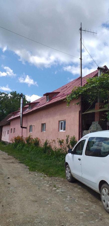 Casa Boierului Imbri Villa Cîrţişoara Eksteriør billede